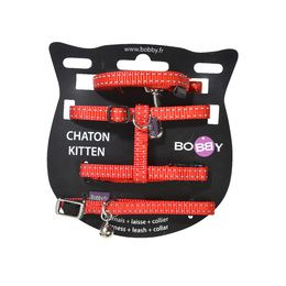 PACK CHATON SAFE