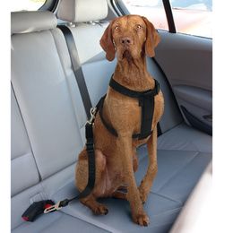 PETTORINA X AUTO SAFETY BELT MD.