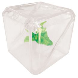 JEU CHIEN FRESH ICECUBE SOG ASS..7,5 CM