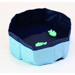 JEU PISCINE POUR CHAT 30x10 cm