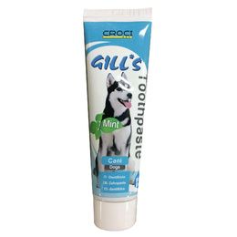 GILL'S DENTIFRICE A LA MENTHE 100g